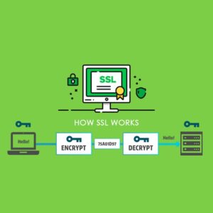 Why Web Security is Important for Your Business Website