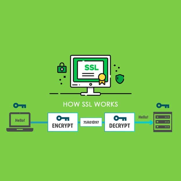 Why Web Security is Important for Your Business Website