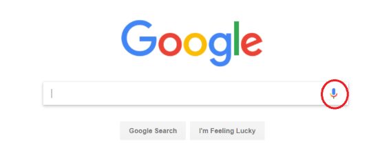 Google Search