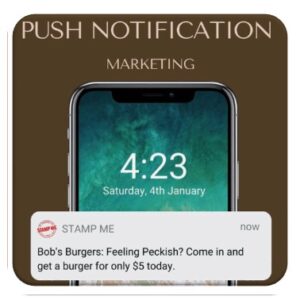 5 PUSH NOTIFICATION WAYS TO INCREASE SUBSICRIBERS COUNT on Websites/Apps!