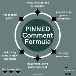 MYSTERY OF PINNED COMMENTS SOLVED!