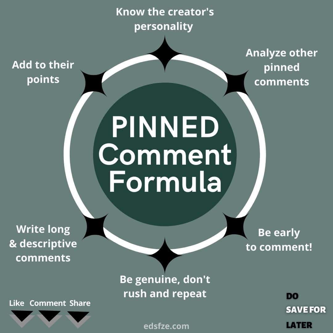 MYSTERY OF PINNED COMMENTS SOLVED!